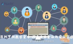 深圳罗湖数字货币：探索