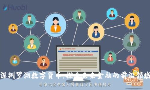 深圳罗湖数字货币：探索未来金融的前沿领域