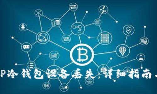 如何应对TP冷钱包设备丢失：详细指南与解决方案