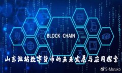 山东潍坊数字货币的未来