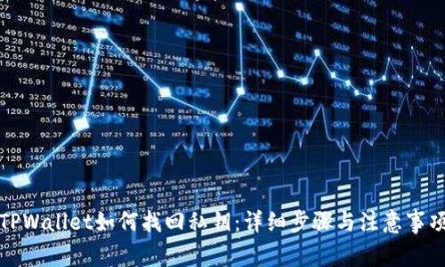 TPWallet如何找回私钥：详细步骤与注意事项