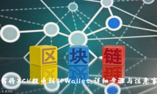 如何将XCH提币到TPWallet：详细步骤与注意事项