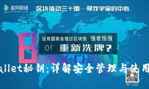 TPWallet秘钥：详解安全管理与使用技巧