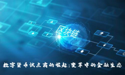 数字货币试点商的崛起：变革中的金融生态