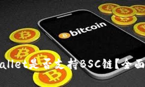 TPWallet是否支持BSC链？全面解析