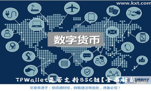 TPWallet是否支持BSC链？全面解析