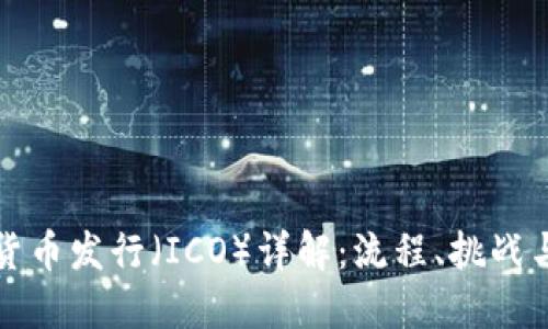 初始数字货币发行（ICO）详解：流程、挑战与未来发展