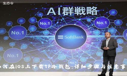 如何在iOS上下载TP冷钱包：详细步骤与注意事项