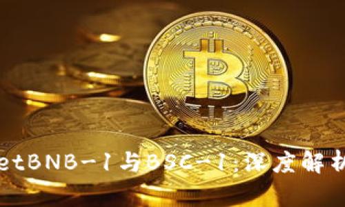 TPWalletBNB-1与BSC-1：深度解析与对比