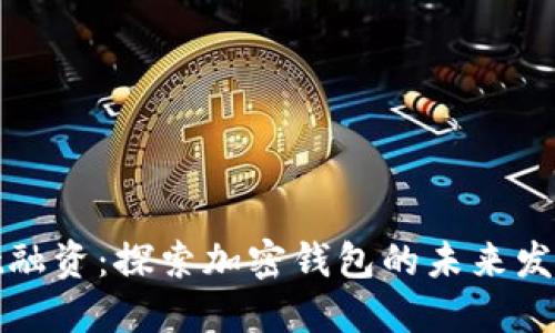 TPWallet融资：探索加密钱包的未来发展与机遇
