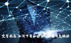 完整指南：如何下载和安