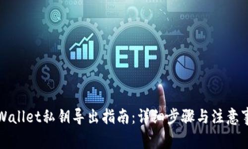 TPWallet私钥导出指南：详细步骤与注意事项