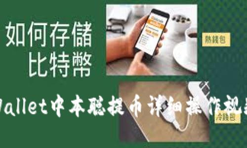 : TPWallet中本聪提币详细操作视频教程