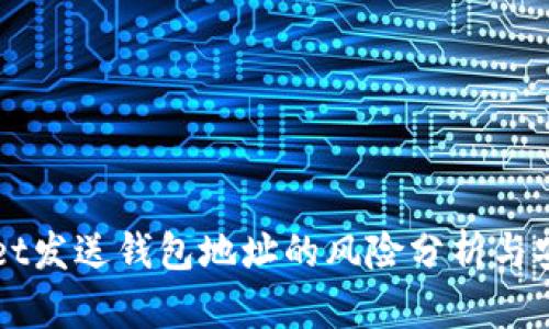 TPWallet发送钱包地址的风险分析与安全指南