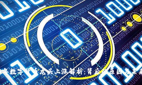 2020年数字货币龙头上涨解析：背后的原因与未来展望