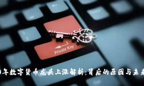 2020年数字货币龙头上涨解析：背后的原因与未来展望