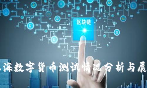 上海数字货币测试情况分析与展望