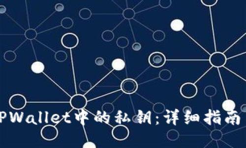 如何查看TPWallet中的私钥：详细指南与安全提示