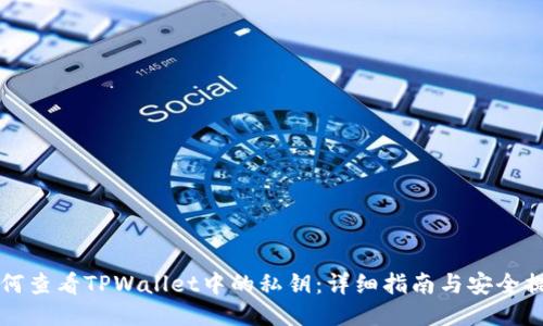如何查看TPWallet中的私钥：详细指南与安全提示