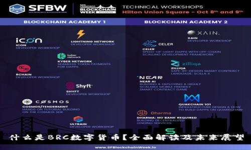 什么是BRC数字货币？全面解读及未来展望