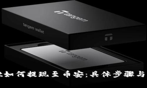 TPWallet如何提现至币安：具体步骤与注意事项