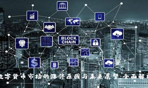数字货币市场的涨停原因与未来展望：全面解析