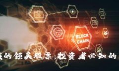 数字货币领域的领头股票