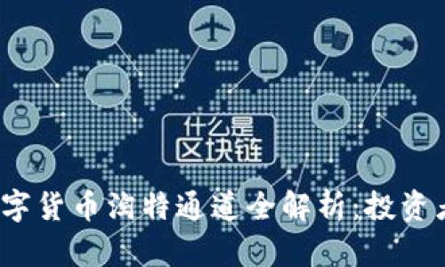 2023年数字货币淘特通道全解析：投资者必读指南