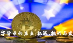 央行数字货币的未来：机