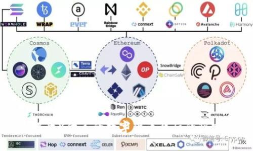 揭开X代表的数字货币背后的秘密