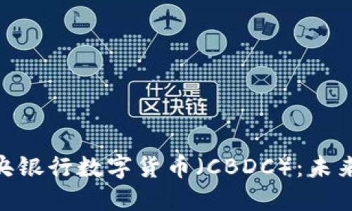 数字货币与中央银行数字货币（CBDC）：未来金融的双重奏