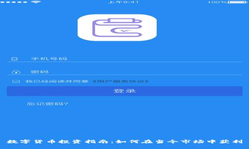 数字货币投资指南：如何在当今市场中获利