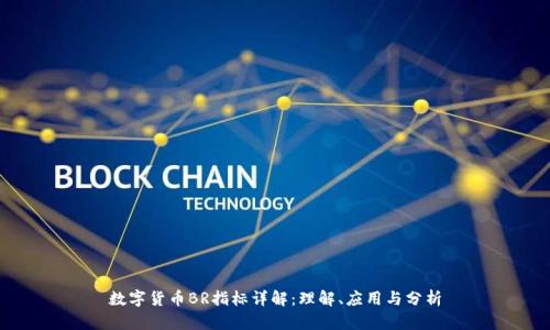 数字货币BR指标详解：理解、应用与分析