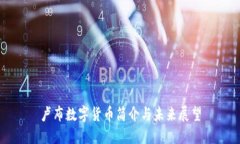 卢布数字货币简介与未来