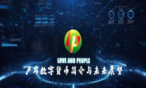卢布数字货币简介与未来展望