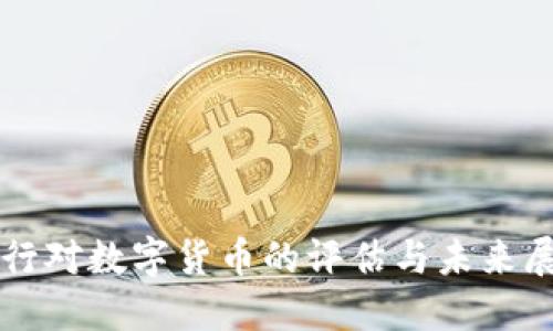 央行对数字货币的评估与未来展望