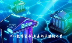 BSV数字货币：未来的区块