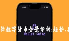 2023年美国国际数字货币全景分析：趋势、类型与