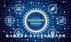 国内数字货币：未来的金融趋势与机遇