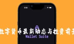 北亚数字货币最新动态与投资前景分析