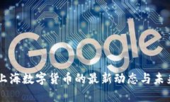 中国上海数字货币的最新动态与未来展望