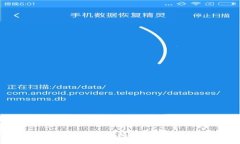 伊朗数字货币加密的崛起：技术、挑战与未来展