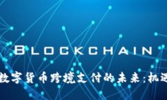 阿联酋数字货币跨境支付的未来：机遇与挑战