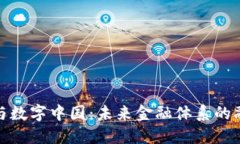 数字货币与数字中国：未来金融体系的融合与发