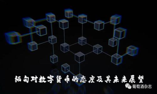 缅甸对数字货币的态度及其未来展望