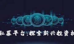中国数字货币私募平台：探索新兴投资机会与市