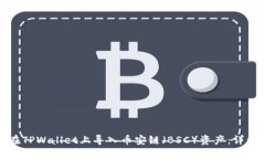 如何在TPWallet上导入币安链（BSC）资产：详细教程