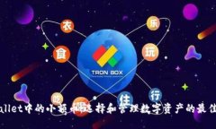TPWallet中的小额币：选择和管理数字资产的最佳方