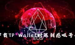华为手机下载TP Wallet时遇到感叹号的解决方案