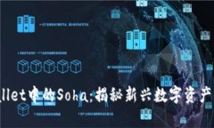 bianotiTPWallet中的Soha：揭秘新兴数字资产的价值与